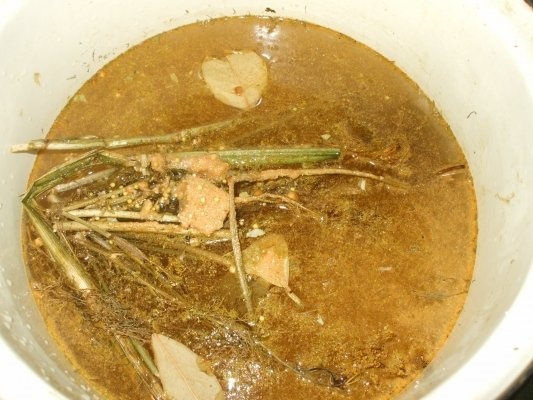 Castraveti cornichon in otet