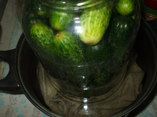 Castraveti cornichon in otet