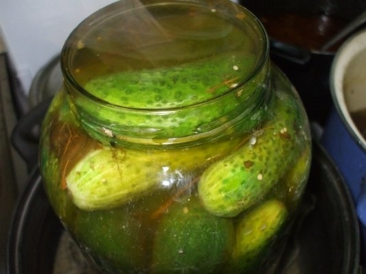 Castraveti cornichon in otet