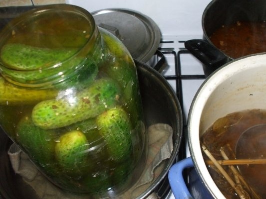 Castraveti cornichon in otet