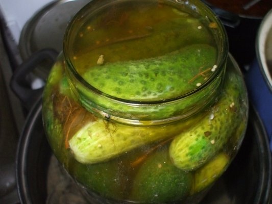 Castraveti cornichon in otet