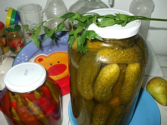 Castraveti cornichon in otet