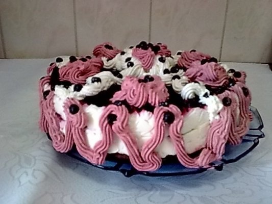 Tort cu afine de padure si crema de iaurt