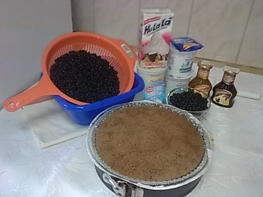 Tort cu afine de padure si crema de iaurt