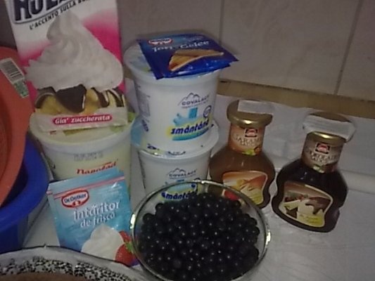 Tort cu afine de padure si crema de iaurt