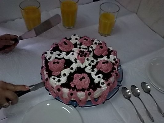 Tort cu afine de padure si crema de iaurt