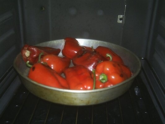 SALATA DE ARDEI  CAPIA COPTI