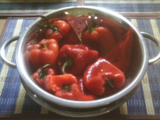 SALATA DE ARDEI  CAPIA COPTI