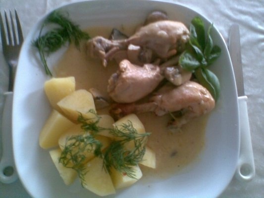 CIOCANELE DE PUI CU SOS DE SMANTANA