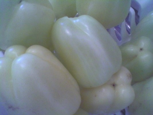 Ardei umpluti cu varza si morcov in otet