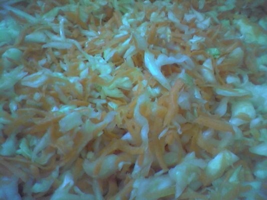 Ardei umpluti cu varza si morcov in otet