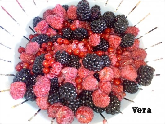 Dulceata de fructe  de padure
