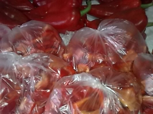 Ardei capia pentru ciobite si tocanite