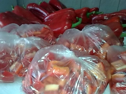 Ardei capia pentru ciobite si tocanite