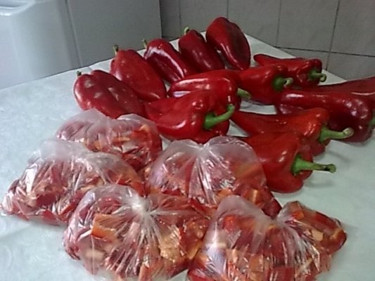 Ardei capia pentru ciobite si tocanite