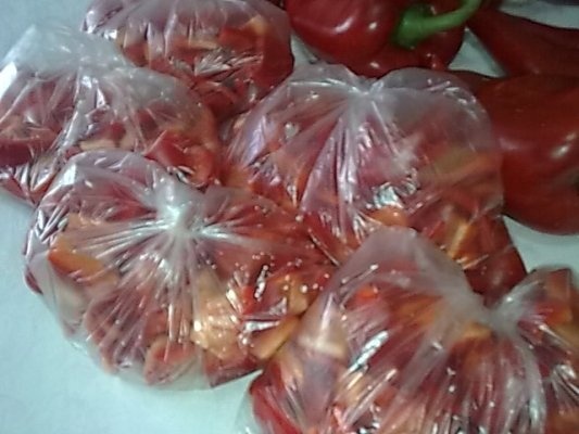 Ardei capia pentru ciobite si tocanite