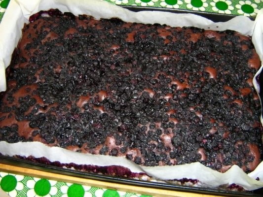 Prajitura cu cacao si afine