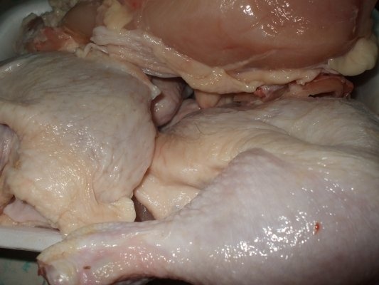 Pui cu morcovi gratinati