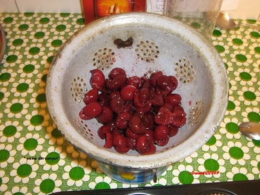 Briose cu cacao si visine