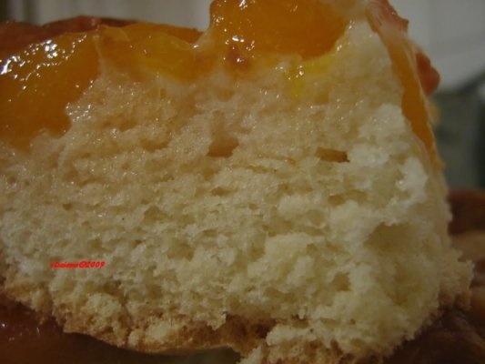 Prajitura cu nectarine si caramel