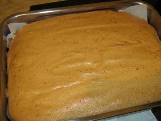 Prajitura cu nectarine si caramel