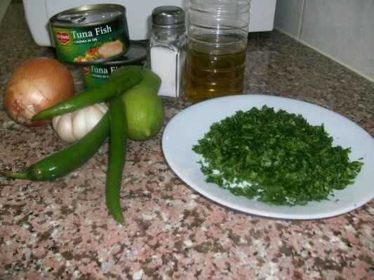 SALATA DE TUNA(CONSERVA) CU CORIANDRU VERDE