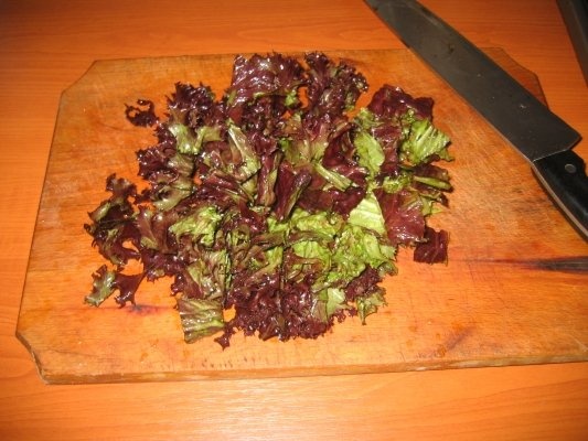 Paste cu branzaturi si salata creata rosie