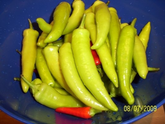 ARDEI IUTE DIN GRADINA LA BORCAN