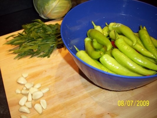 ARDEI IUTE DIN GRADINA LA BORCAN