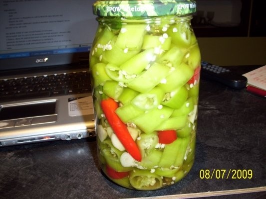 ARDEI IUTE DIN GRADINA LA BORCAN