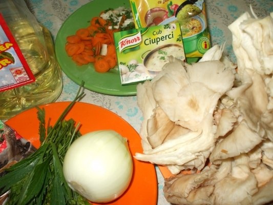 Tocanita de ciuperci pleurotus