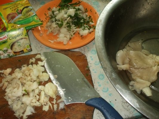 Tocanita de ciuperci pleurotus