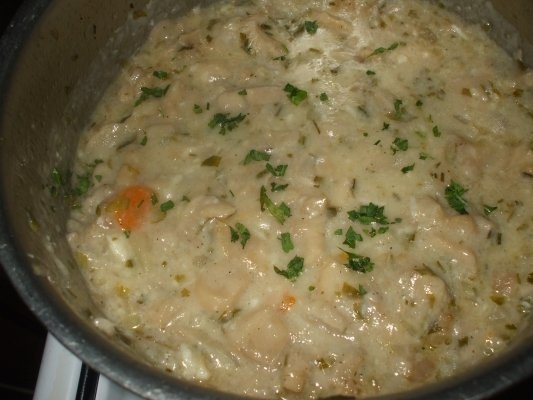 Tocanita de ciuperci pleurotus