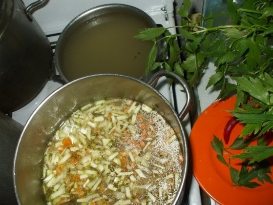 Ciorba de burta a la Doina