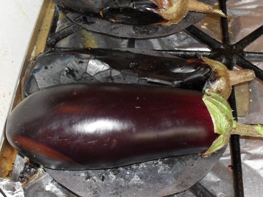 VINETE PENTRU  IARNA(IN CONGELATOR)