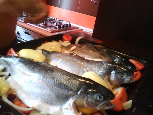 PASTRAV PE PAT DE LEGUME LA CUPTOR