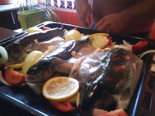 PASTRAV PE PAT DE LEGUME LA CUPTOR