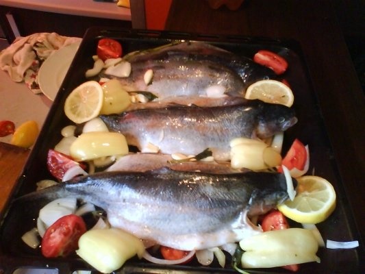 PASTRAV PE PAT DE LEGUME LA CUPTOR