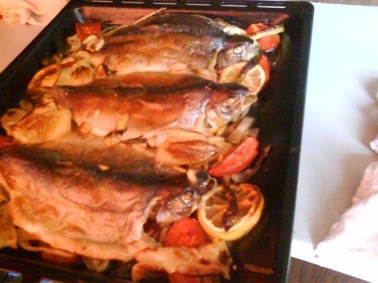 PASTRAV PE PAT DE LEGUME LA CUPTOR