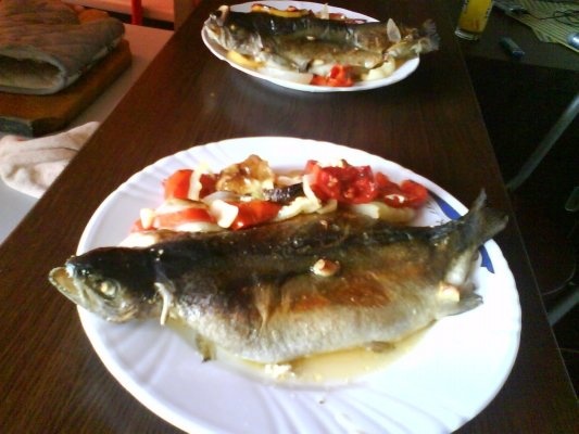 PASTRAV PE PAT DE LEGUME LA CUPTOR