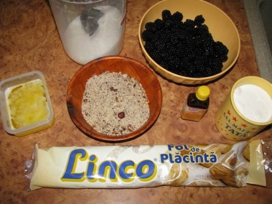 Prajitura crocanta cu mure