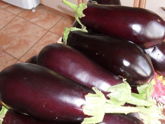 SALATA SIMPLA DE VINETE