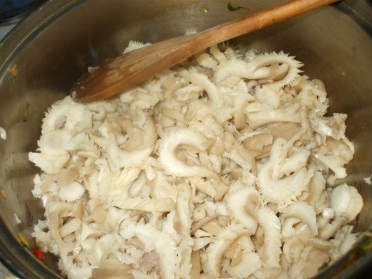 Ciorba de ciuperci pleurotus