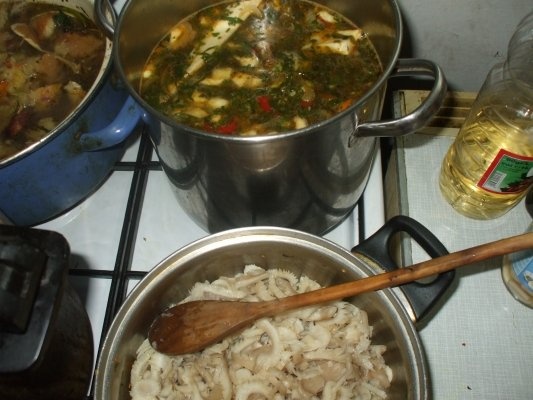 Ciorba de ciuperci pleurotus