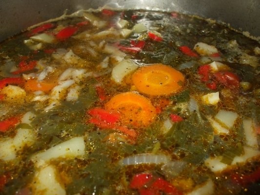 Ciorba de ciuperci pleurotus