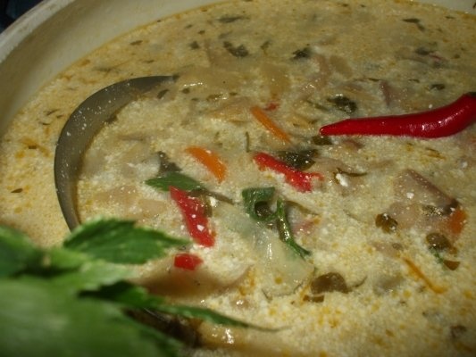 Ciorba de ciuperci pleurotus