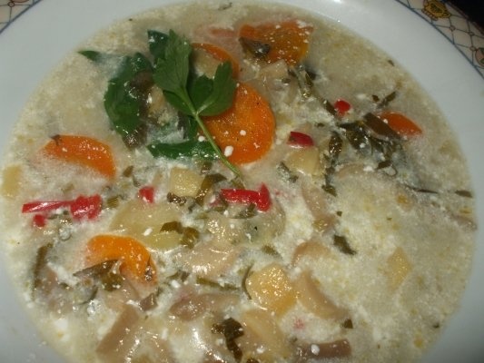 Ciorba de ciuperci pleurotus