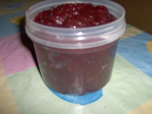 Magiun de prune dietetic