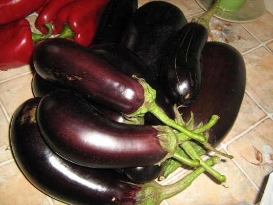 Zacusca pentru iarna