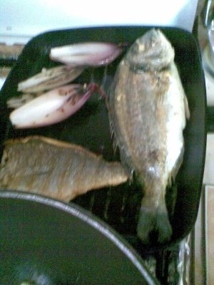 DORADA LA GRATAR CU LEGUME